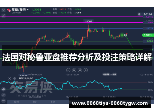 法国对秘鲁亚盘推荐分析及投注策略详解